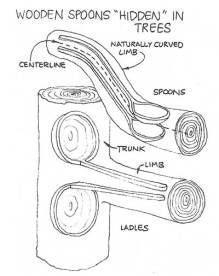 the diagram shows how to use wood spoons in trees and other things that can be found