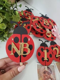 ladybug birthday party decorations on a table