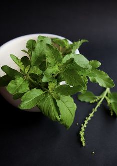 some green leaves in a white bowl on a black tablecloth with a sprig of parsley next to it