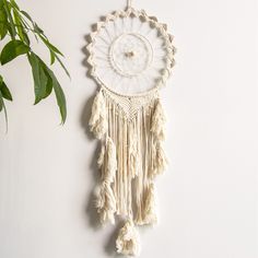 a white dream catcher hanging on the wall next to a potted plant