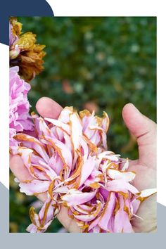 a person holding flowers in their hands