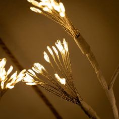 some white branches with yellow lights on them