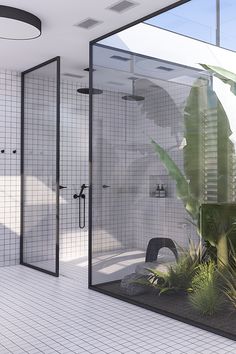 a bathroom with a plant in the corner and tiled walls on both sides, along with a walk - in shower