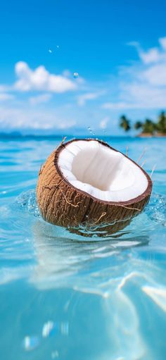 a coconut in the ocean with blue sky and clouds behind it, as seen from the water