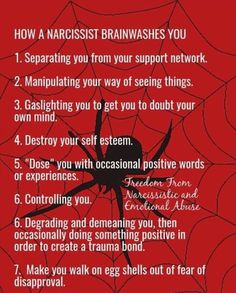 Narcissistic Parent, Narcissistic Behavior, Red Flags, Toxic People, Mental And Emotional Health