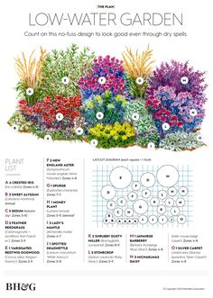 a garden with different types of flowers and plants in the planter's guide