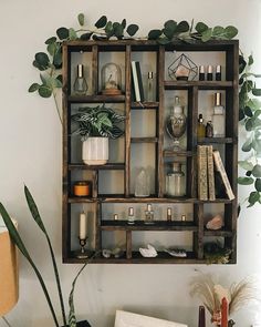 a shelf filled with lots of bottles and plants