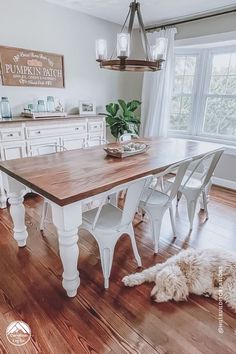 a dog laying on the floor in front of a dining room table with white chairs