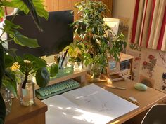 a wooden desk topped with a computer keyboard next to a potted plant on top of it