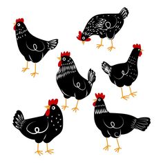 six black and white chickens with red combs on their heads, standing in a circle