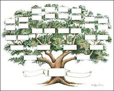 a family tree is shown with several frames attached to the tree's branches and ribbons