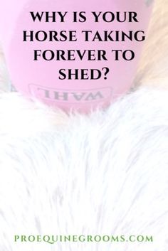 a pink mug with the words, why is your horse taking forever to shed?