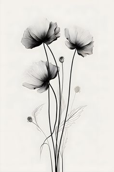 black and white photograph of three flowers