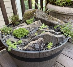 a potted plant with rocks and plants in it on a deck next to a house