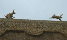 two rabbits sitting on top of a roof