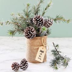 pine cones and evergreen branches in a burlocked jar