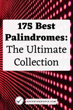 the ultimate collection of 75 best palindromes