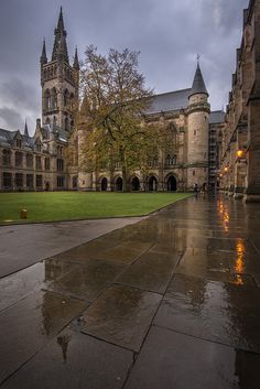 an image of a rainy day in the college campus with rain falling on the ground