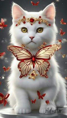 a white cat sitting on top of a table with a butterfly on it's chest