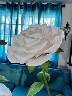 a large white rose sitting on top of a blue couch in front of a window