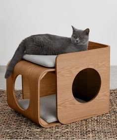 a gray cat sitting on top of a wooden chair with a hole in the back