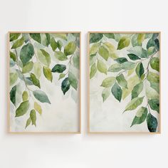 two framed paintings with green leaves on them