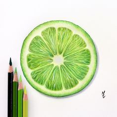 a drawing of a slice of lime next to colored pencils