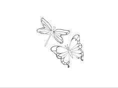 two butterflies flying side by side