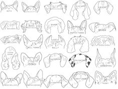 an image of different types of animal heads