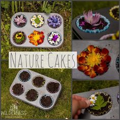 there are pictures of different cakes with flowers in them and the words nature cakes above it