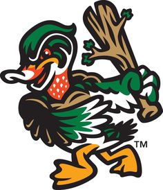 the logo for the university of miami's football team, with an image of a bird