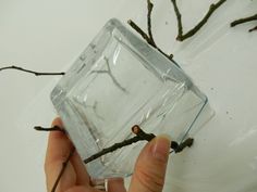 a person holding a piece of glass with branches in it