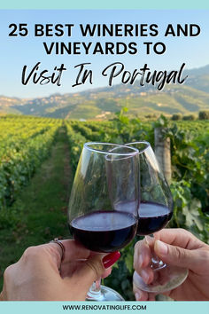 two people toasting wine glasses with the words 25 best wines and vineyards to visit in portugal