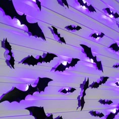 purple bats are hanging on the wall in front of white walls with lights and shadows