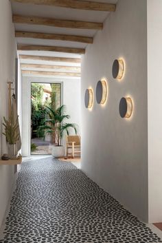 a hallway with three circular lights on the wall and a potted plant next to it