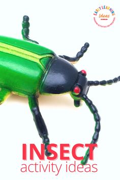 an insect is shown with the words insect activity ideas on it's front cover