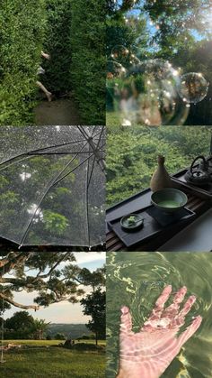 four different pictures with trees and water in the middle one has a hand holding an umbrella