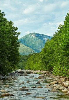 a river running through a lush green forest filled with rocks and trees in front of a mountain