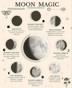 animamundiherbals | instagram Lunar Birth Phase, New Moon Illustration, Witchcraft Journal, Lunar Witch, Lunar Magic, Moon Phase Calendar, Moon Rituals