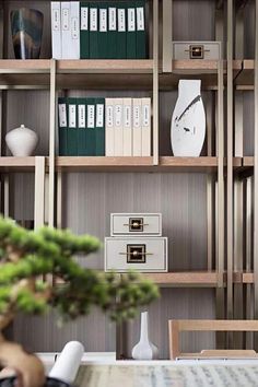 a book shelf filled with lots of books next to a potted plant on top of a table