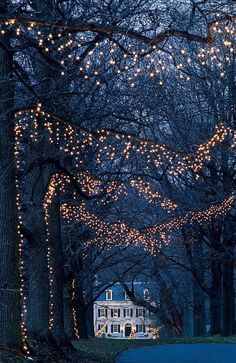 a house with christmas lights hanging from it's trees