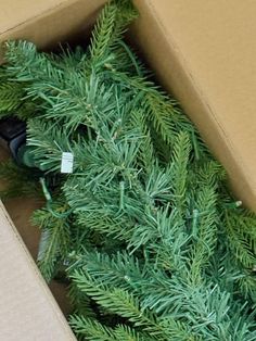 an open cardboard box filled with evergreen branches