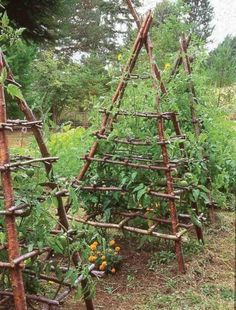 an outdoor garden made out of sticks and plants