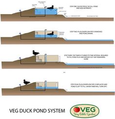 the diagram shows different types of water and how they are used to clean them up