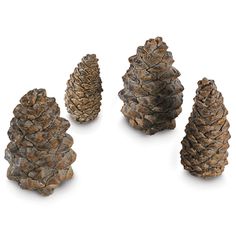 five pine cones are arranged in a row