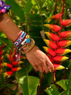 This Seaside Serenade Bracelet will add a colorful splash to your look! It features fun rainbow threadwork and metal shell charms, and you can acheive the perfect fit with the drawstring closure. A vibrant accessory for anyone who loves to make a statement! 6" Adjustable rainbow threadwork Drawstring closure (extendable up to 8") Gold plated brass hardware Handpainted shell Handmade in New York City and Puerto Rico. Due to the handmade nature of our products, some charms may vary in color and st Beaded Lace, Brass Hardware, Puerto Rico, Handmade Natural, York City, Perfect Fit, Charms, Cuff, Rainbow