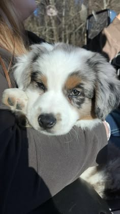 a dog is being held in someone's arms with his head resting on the arm