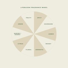 a pie chart with different types of food on it and the words lifeloomfrance wheel