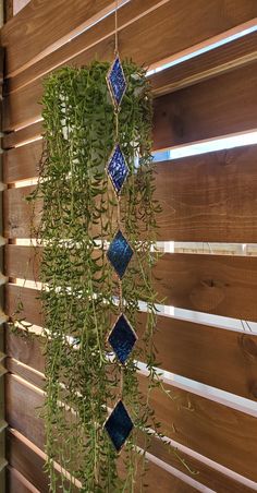 a green plant hanging from the side of a wooden wall with blue glass tiles on it