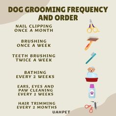 a dog grooming poster with instructions on how to use it